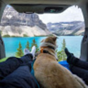 Meet your Posher, Jake